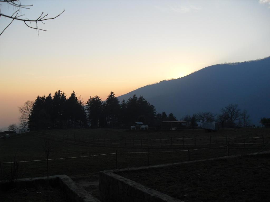 Agriturismo Le Vigne Villa Montale  Kamer foto
